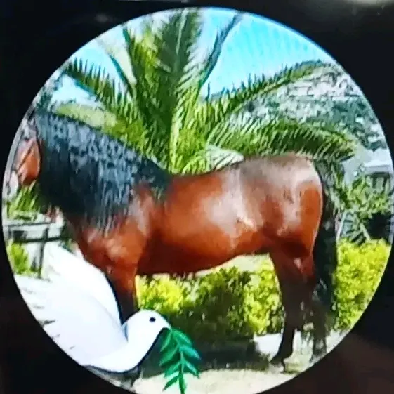 salvatorepaviarambo