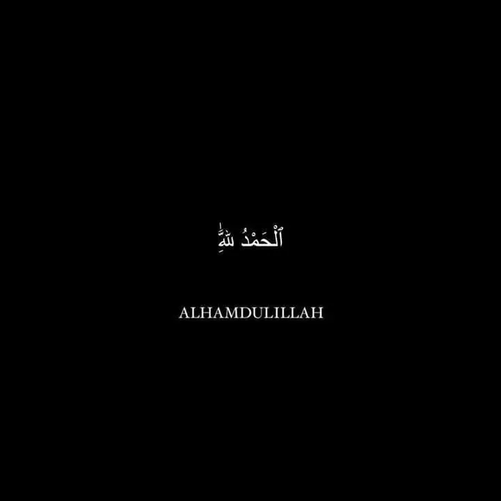 halaltiktok8
