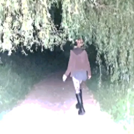 sybxr
