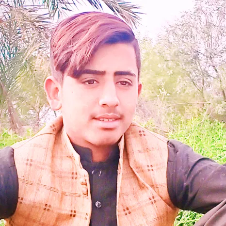 malikawais1255