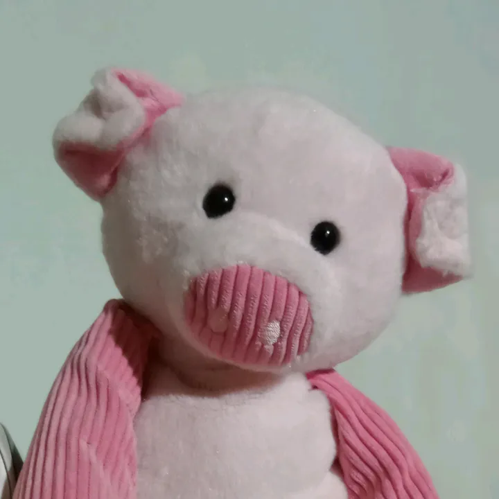 misspiggyyoinky