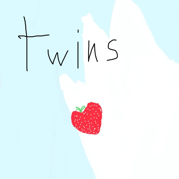 twinnies_adam.aer