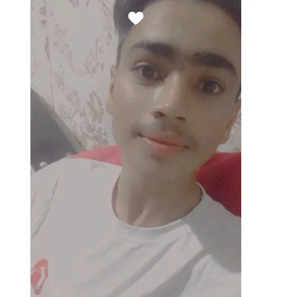 gulfamdogar265