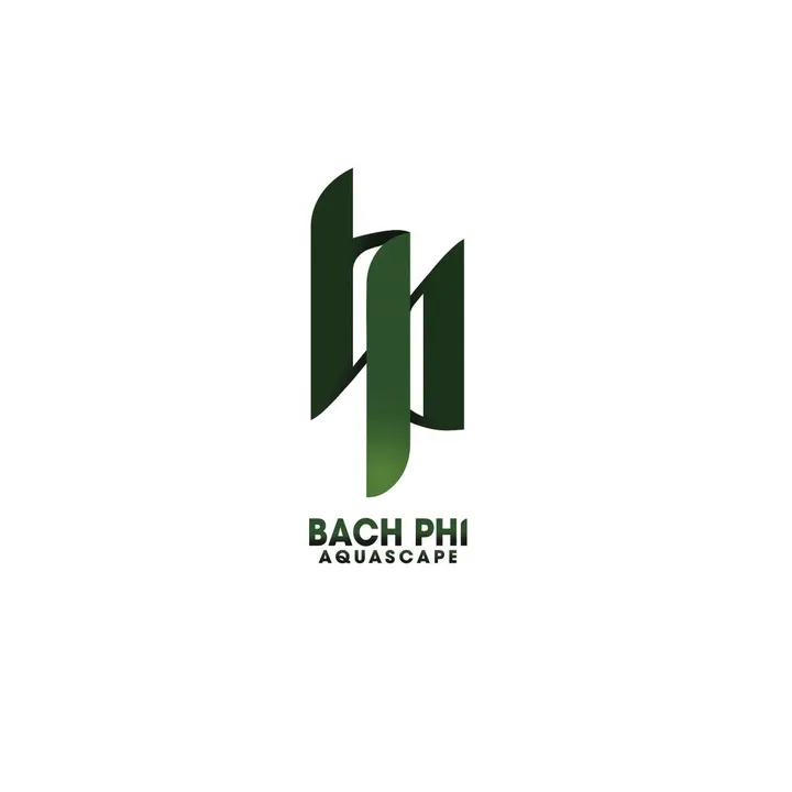 bachphiaquascape