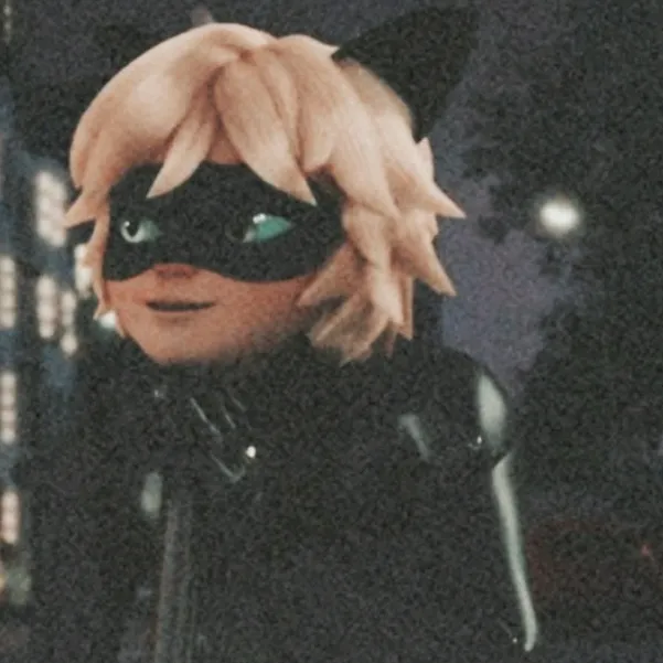 @chatnoir250