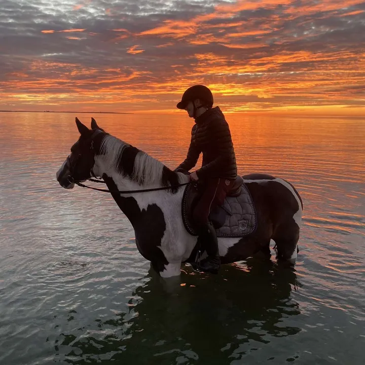 ella.the.equi