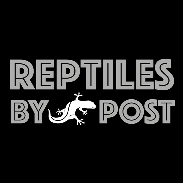 reptiles.by.post