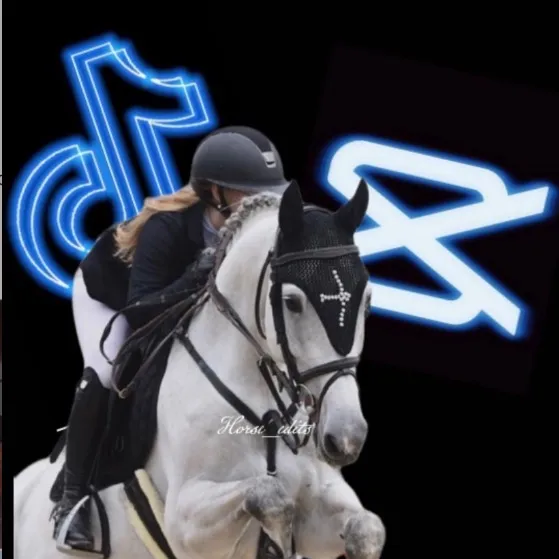 horse_edits099