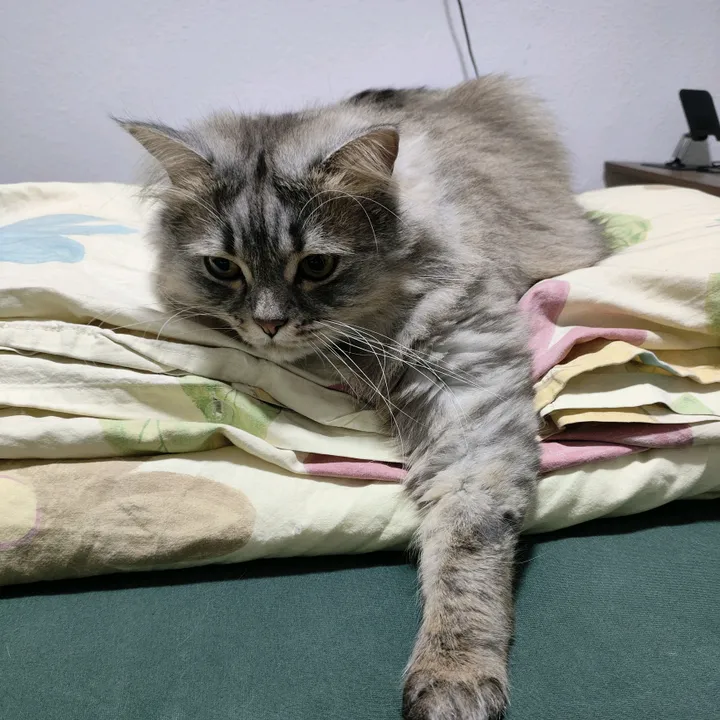 leon_mylo