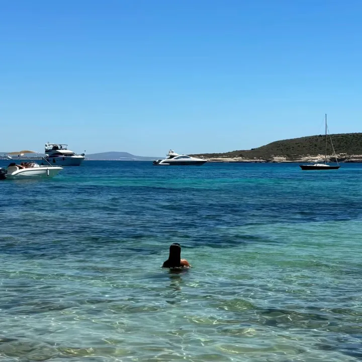 banksiaga