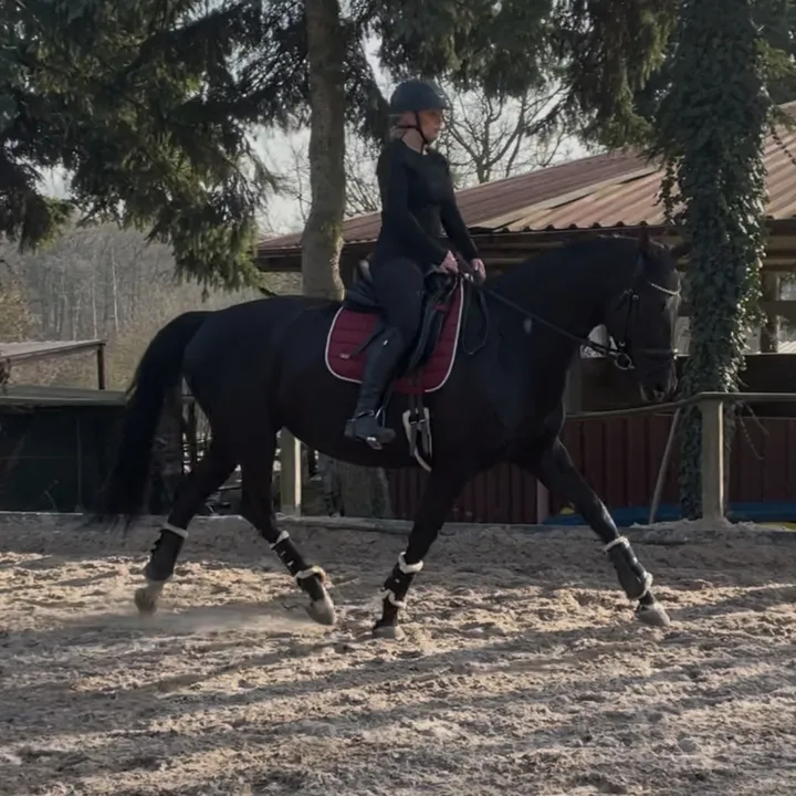 westluna47