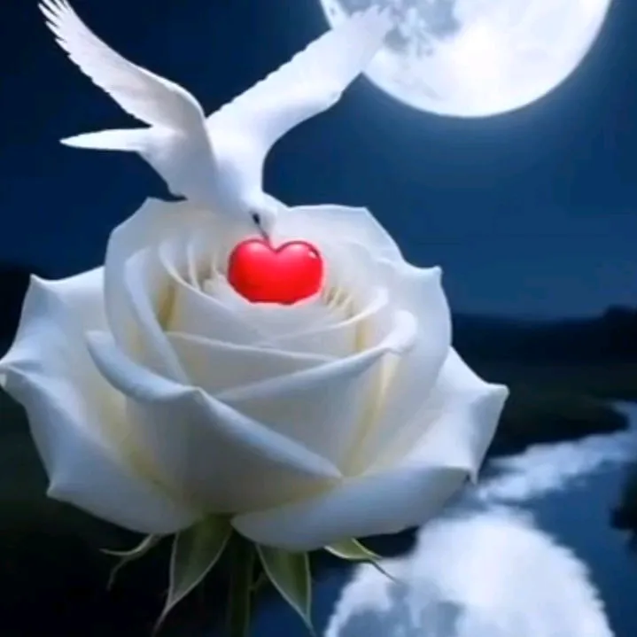 lunnnaaaaa2