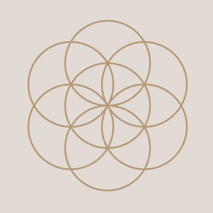 samsara_universo