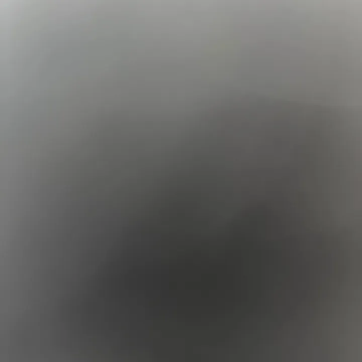 lavieestbellebel