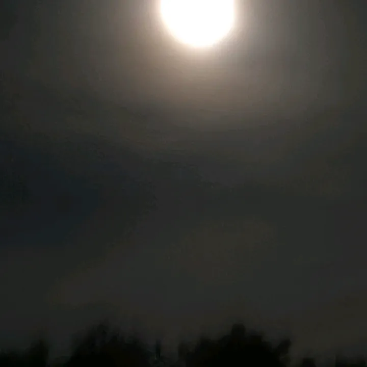 @lex1230450