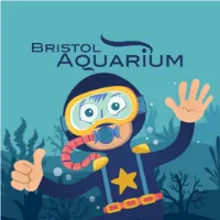 bristolaquarium