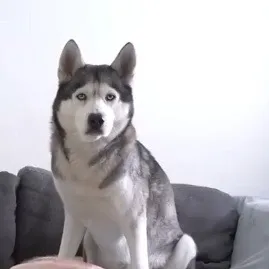 @githe.680
