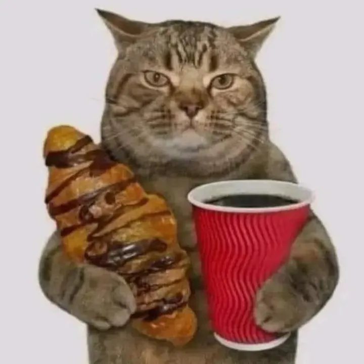 hugobecookin