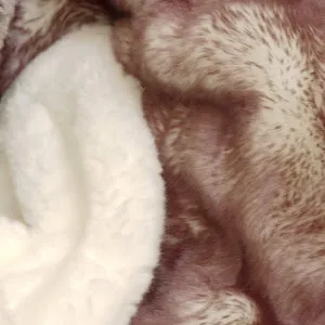 fursfirst2