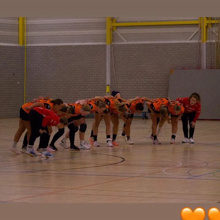 hv.nieuwegein.ds1