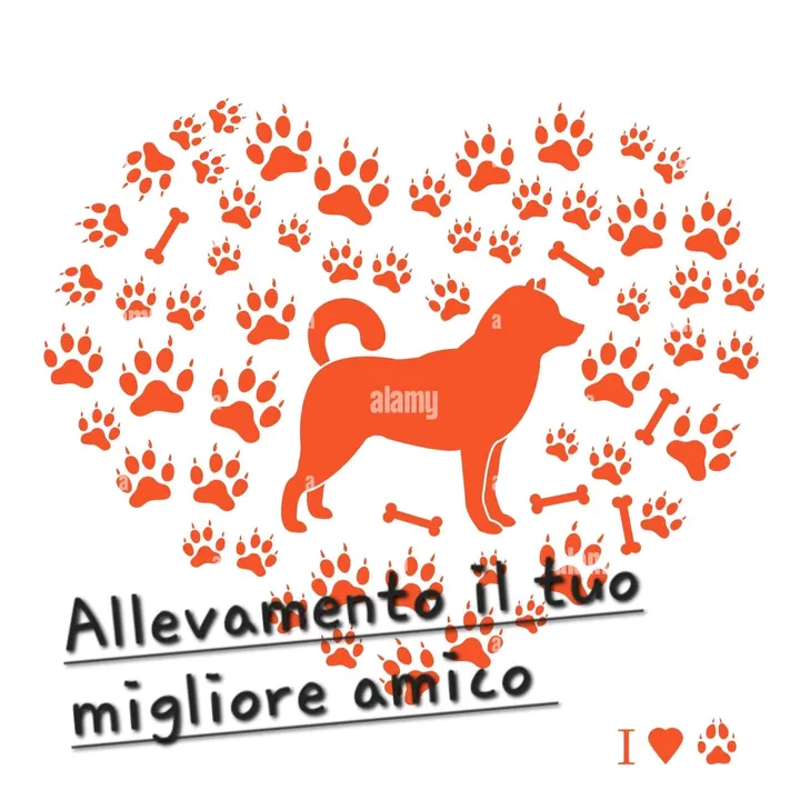 @francesco.bevilac387
