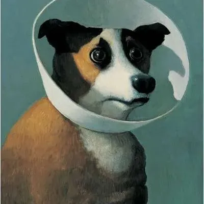 cone_dawgg
