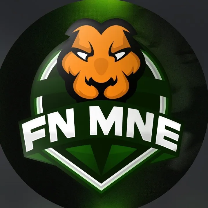 fn_mne1