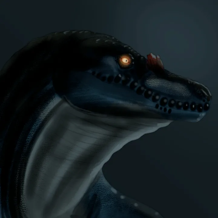 monitordraws