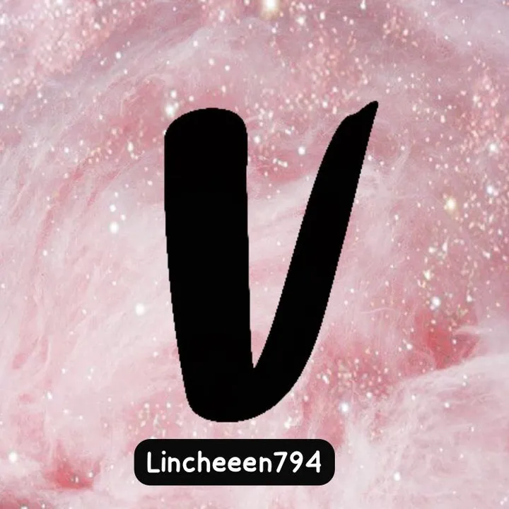 @vinted_lincheeen794