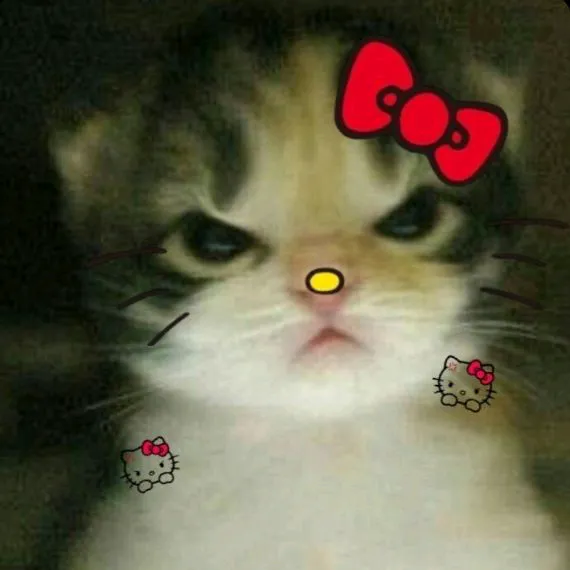 d4rkkqzzx