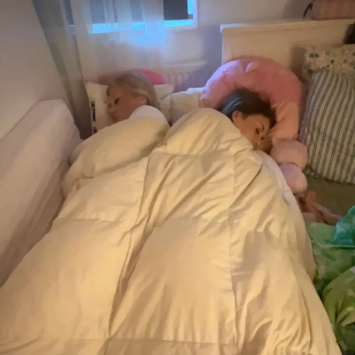 lilla_linnsan117