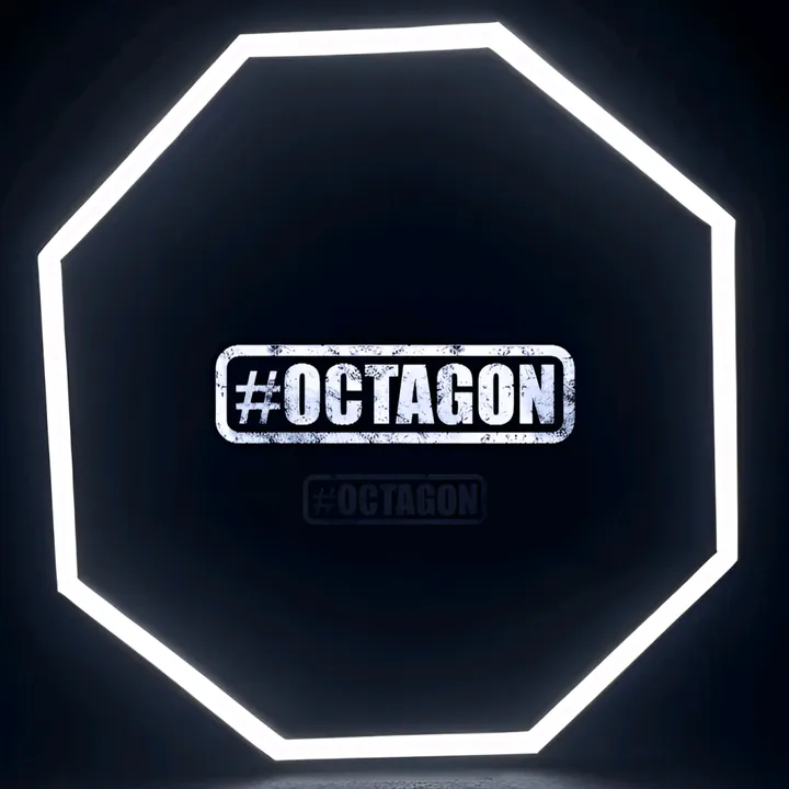 octagon213dz