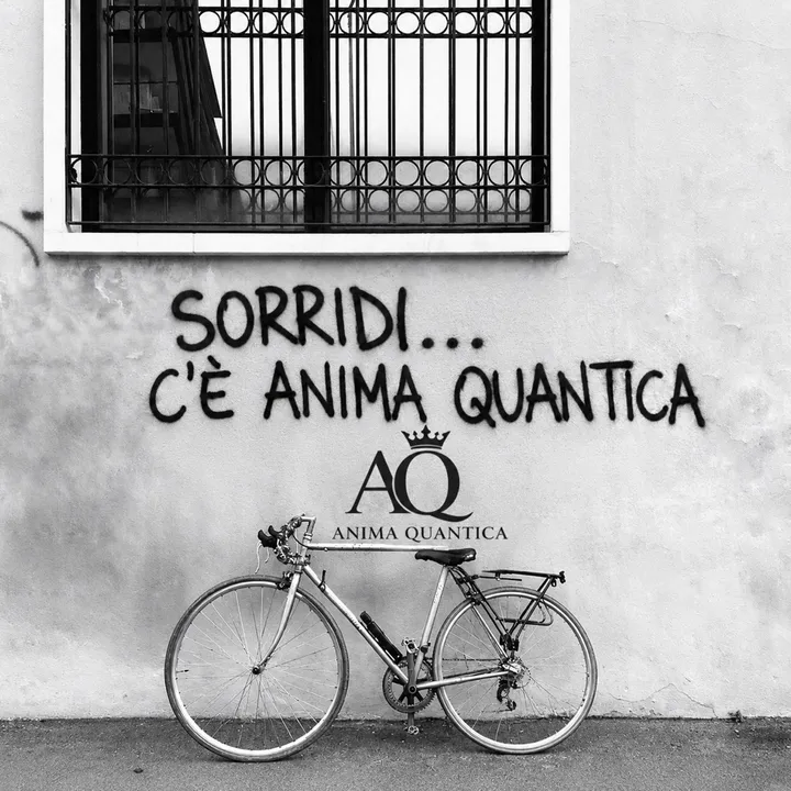 anima.quantica