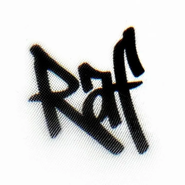 @rafsvisualizer