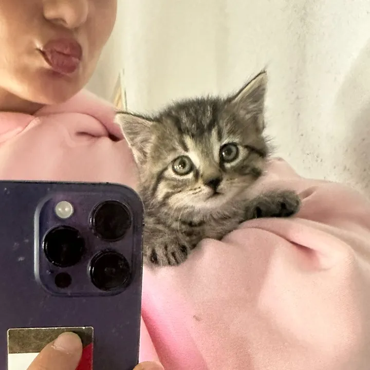 ilayda.bnl