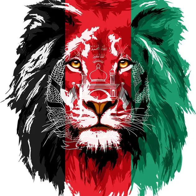 @historic.afghanis