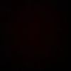 nxle.6