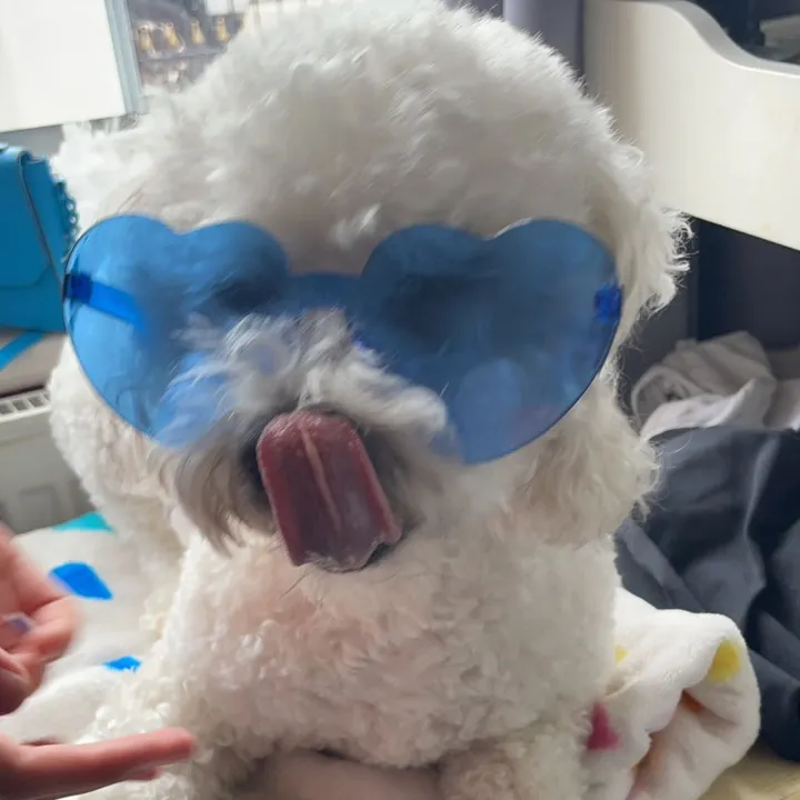yennamariner
