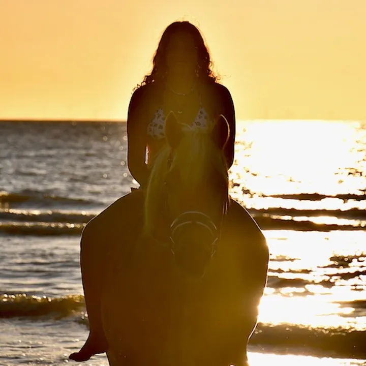 eq_anaelle