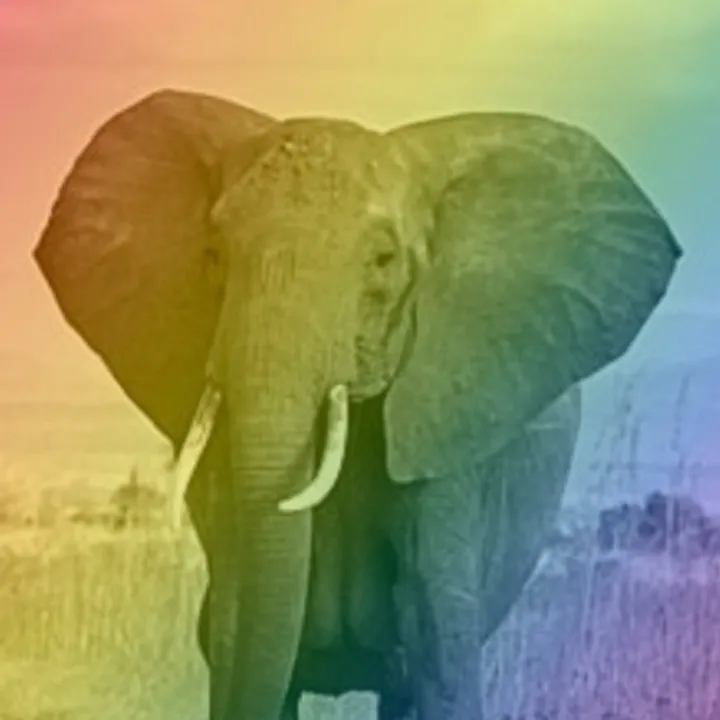 majesticrainbowelephant