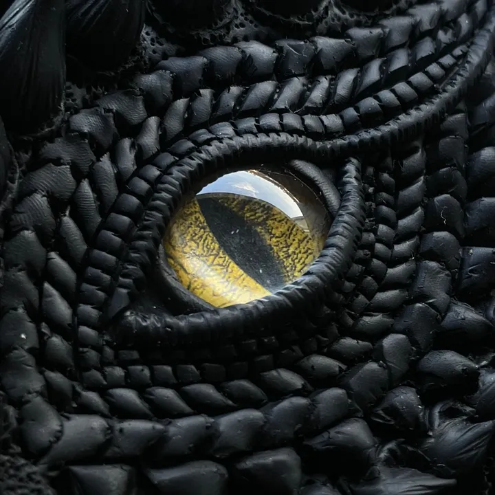 the.dragon.ward