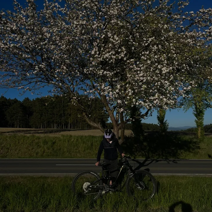 @linus_on_giantreign