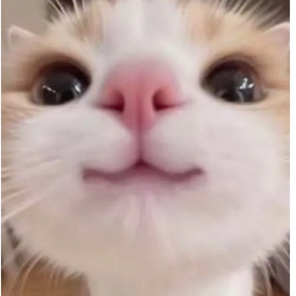 dani_cleangirl