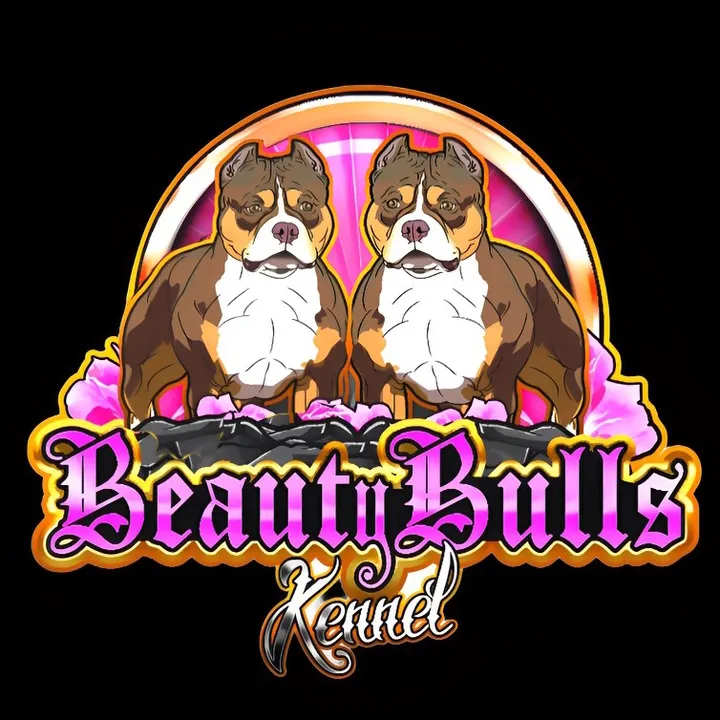 beautybullskennel