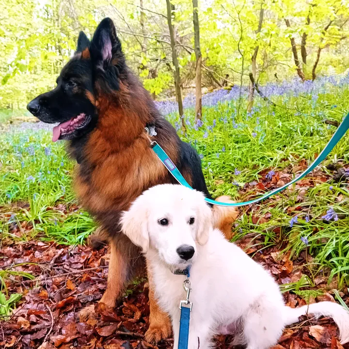 jett_and_cruz