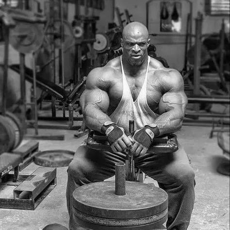 bodybuilder_clipper
