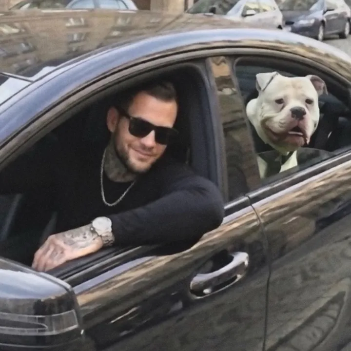 daxter_the_bulldog