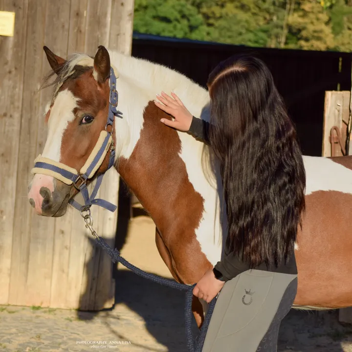 annalisa.equestrian