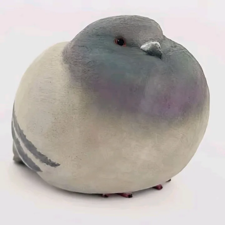 arandomguy024