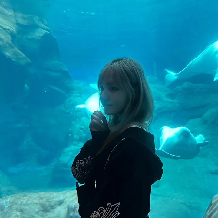 .lizfilms